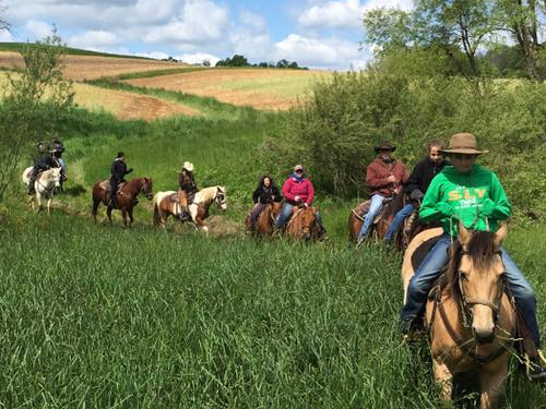 Trail Riding